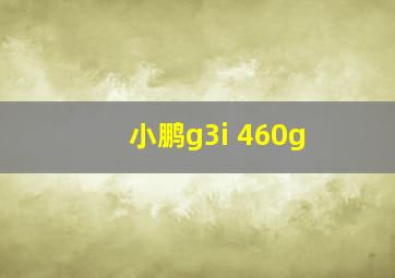 小鹏g3i 460g